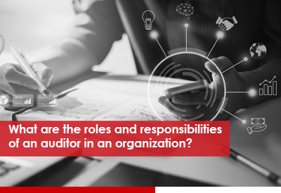 roles and responsibilities of an auditor