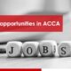job opportunities after ACCA